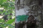 16 Seguo i bolli bianco-verdi direzione Mezzoldo